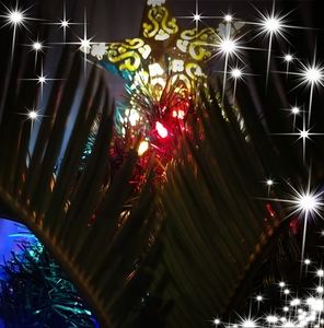 Meet your Posher, Jody